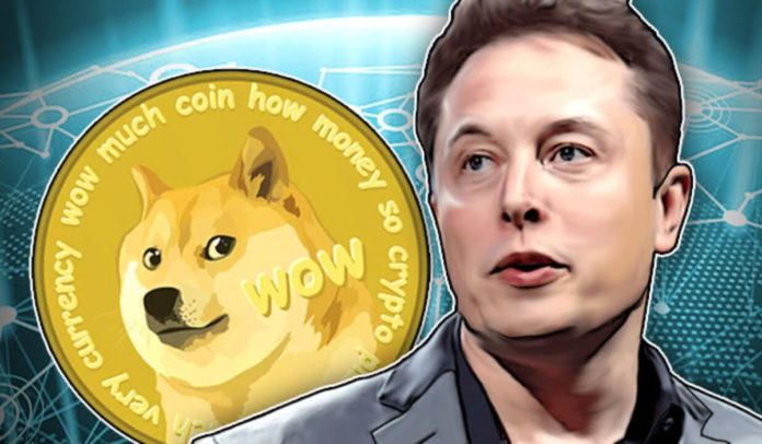 Elon Musk x Queda do Bitcoin